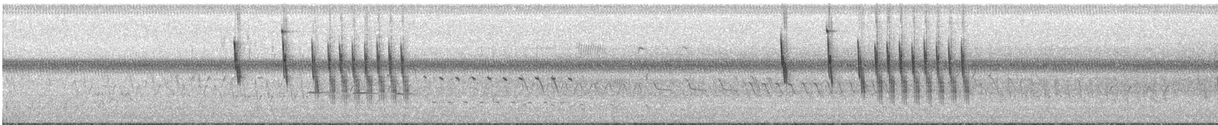 Troglodyte à bec court - ML355778601