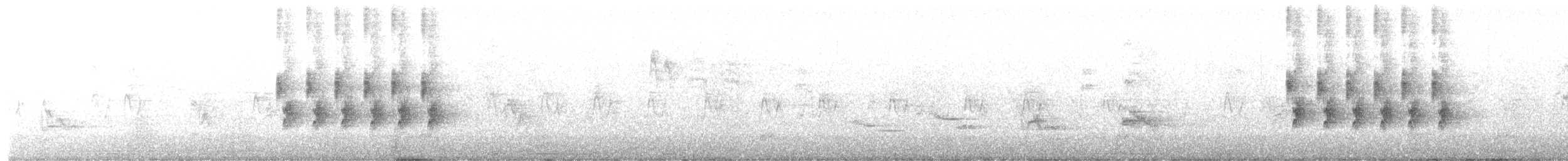 Тауї плямистий - ML355779661