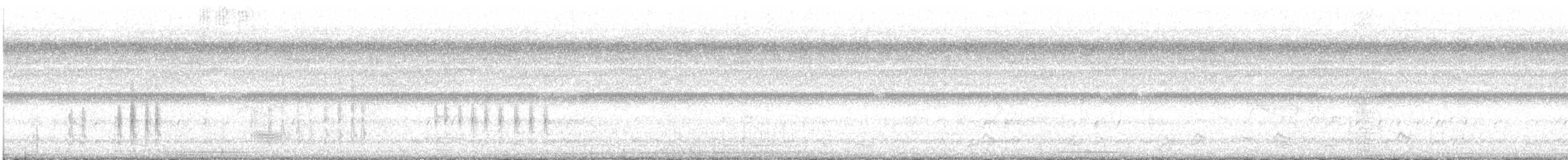 Bindenschwanz-Nachtschwalbe - ML355782011