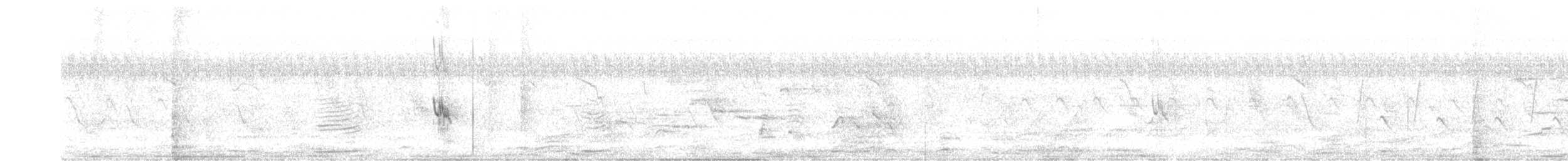 Loriot à capuchon noir - ML355872011