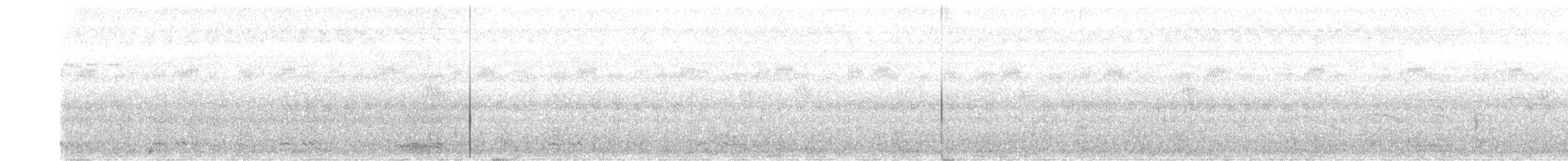 White-cheeked Barbet - ML355873561