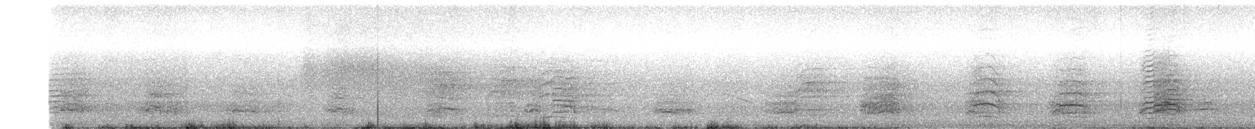 Malabar Pied-Hornbill - ML355878201