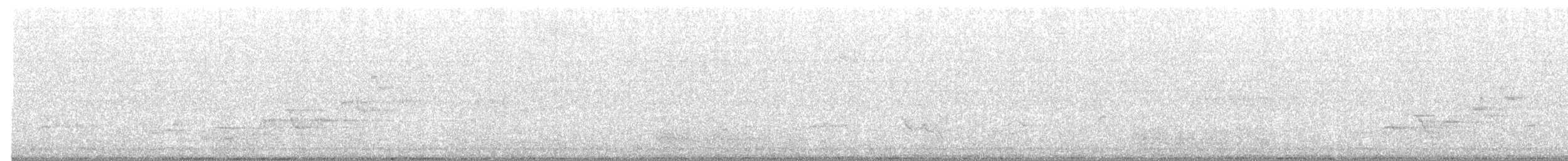 Дрізд-короткодзьоб Cвенсона - ML355938171