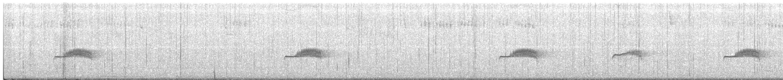 Western Wood-Pewee - ML355938681