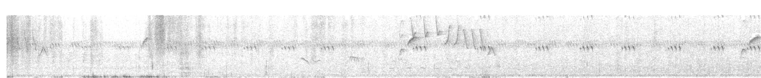 Batı Amerika Sinekkapanı (occidentalis/hellmayri) - ML35611551
