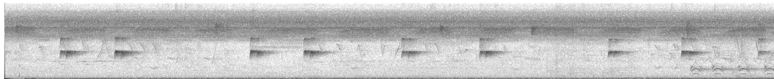 Поплітник каролінський - ML356168461