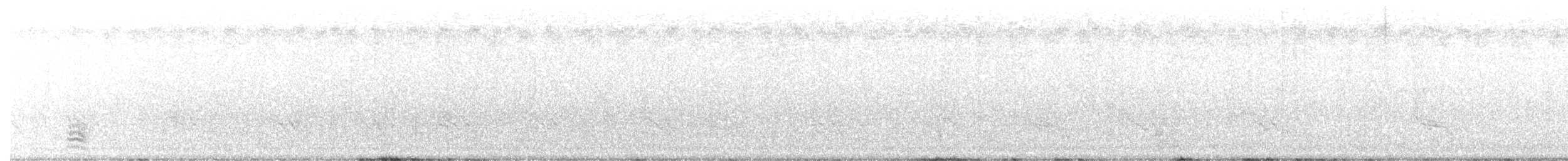 Sittelle à poitrine blanche (carolinensis) - ML356197931
