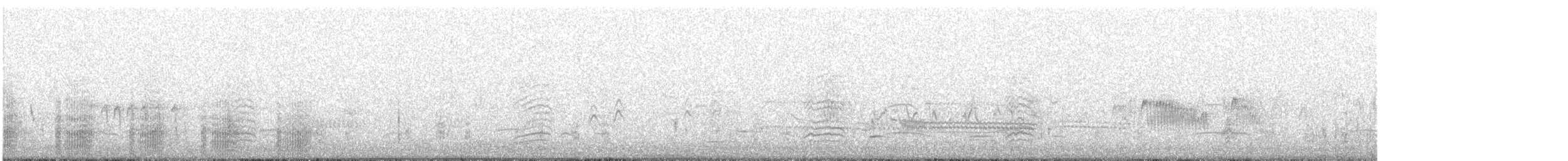 Пелікан рогодзьобий - ML356253081
