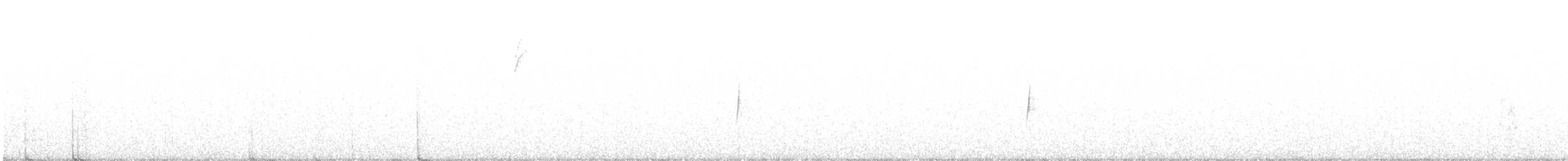 Black-throated Gray Warbler - ML356257181