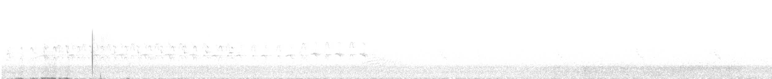 Sparviere levantino - ML356348731