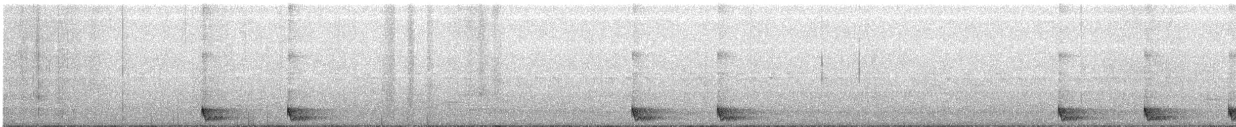 Large-tailed Nightjar - ML356352541