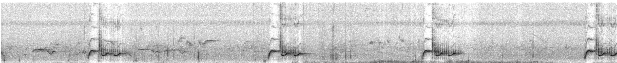 Reichenow Bubusu - ML356355401