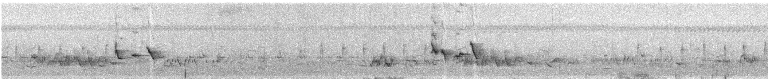 Мышиная нектарница - ML356355861