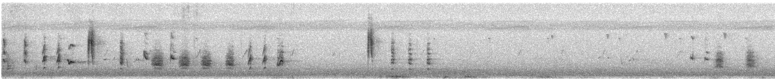 Rousserolle effarvatte (groupe baeticatus) - ML356358731