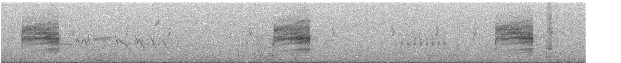 Troglodyte de Bewick - ML356383801