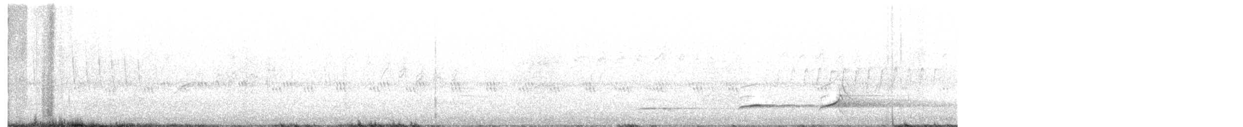 Northern Bobwhite - ML356467901