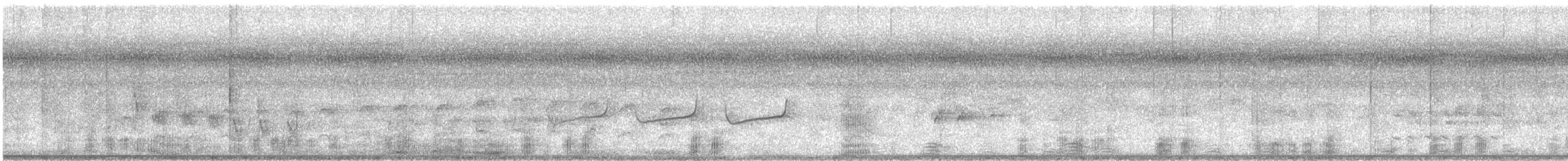 Pied Heron - ML356474971