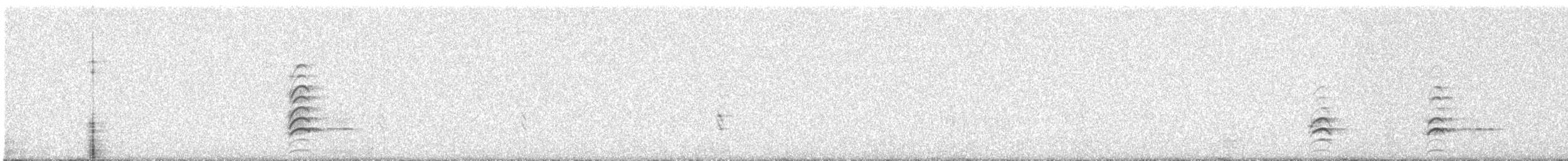 Échasse noire - ML356483451