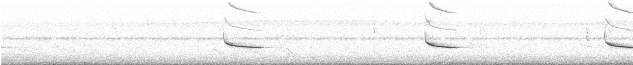 Al Kanatlı Karatavuk [phoeniceus grubu] - ML356499331