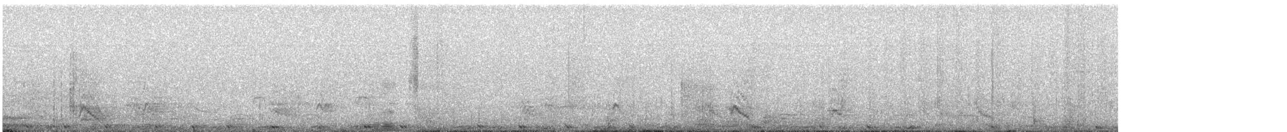 holub útesový - ML356506151