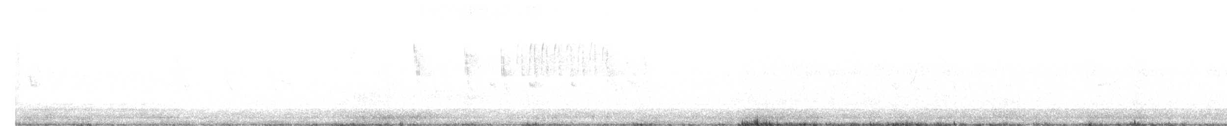 Troglodyte à bec court - ML356519581