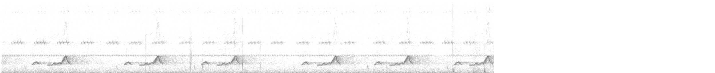 Schwarzkehl-Nachtschwalbe - ML356552871