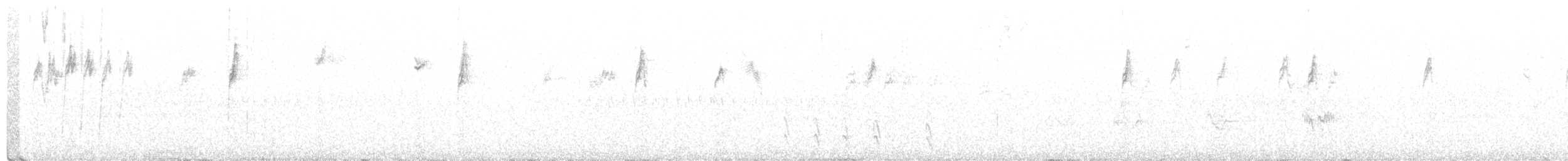 Dachsammer (oriantha) - ML356581381