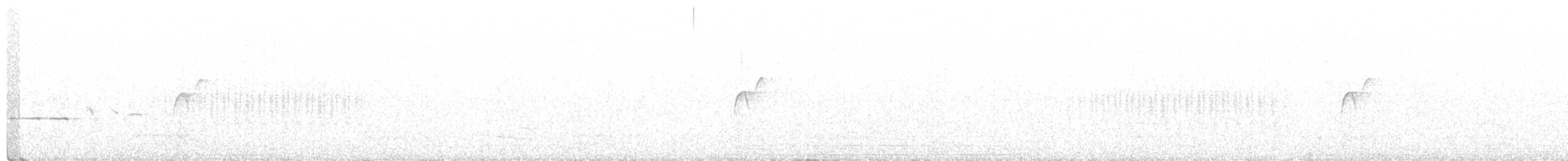 Batı Amerika Sinekkapanı (occidentalis/hellmayri) - ML356581421