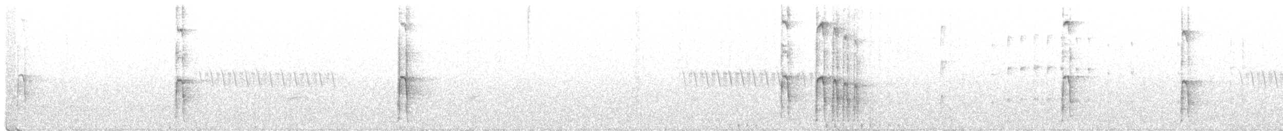 Haarspecht - ML356581461
