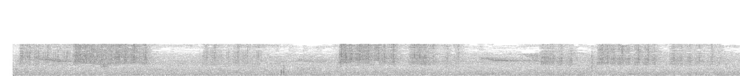 Белоухая тимелия - ML356725481