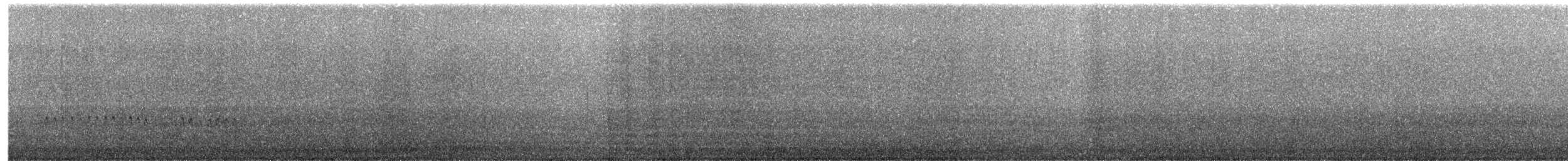 Vuelvepiedras Oscuro - ML356799851