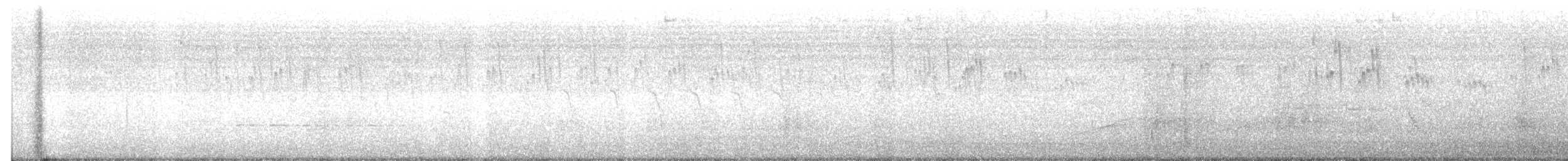 Серобрюхий иглохвост (gaumeri) - ML356820481