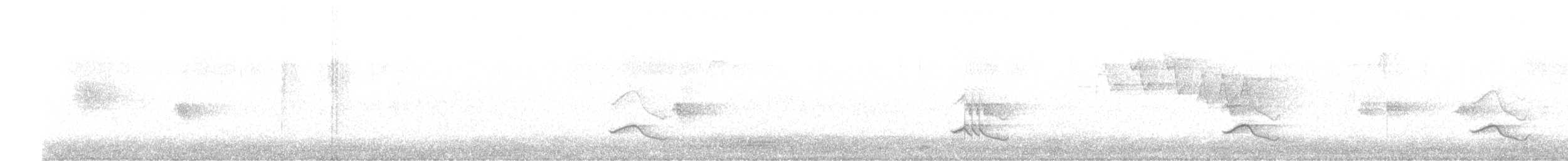 Черноголовый толстонос - ML356887061