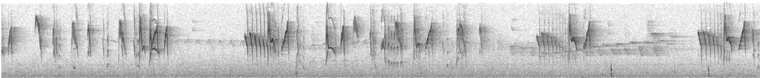 Brauentachurityrann - ML356910891