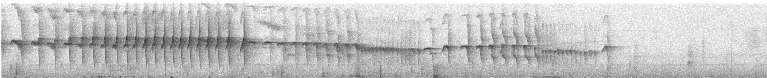 Kurzschwanz-Dickichtschlüpfer (cinereiventris) - ML356913541