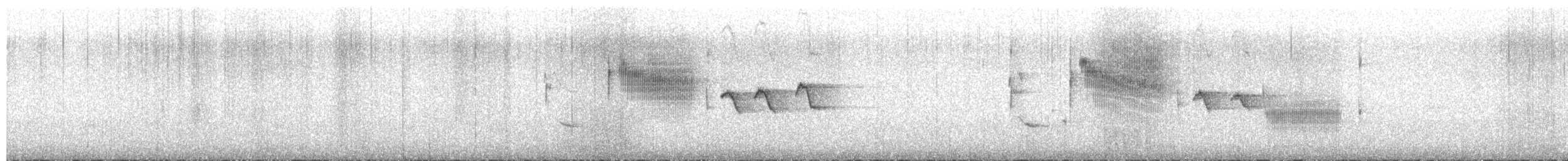 Troglodyte de Latham (aequatorialis) - ML356922921