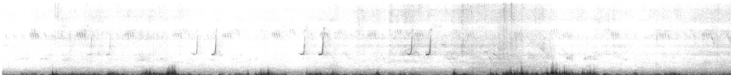 Caille nattée - ML356935061
