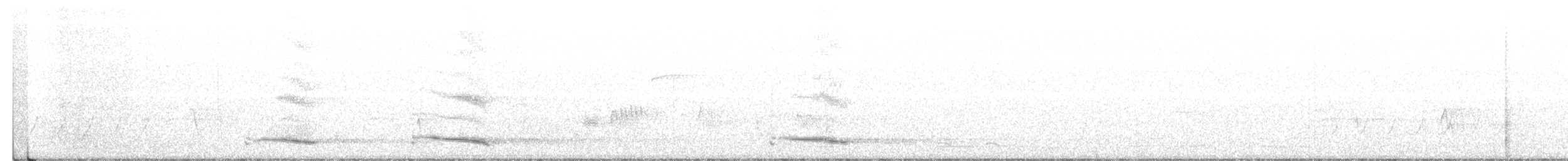 Avustralya Saksağanı - ML356951441