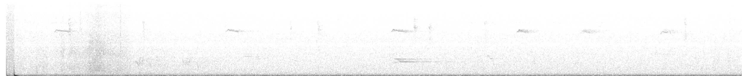 Kara Göğüslü Kamçıkuşu - ML356951481
