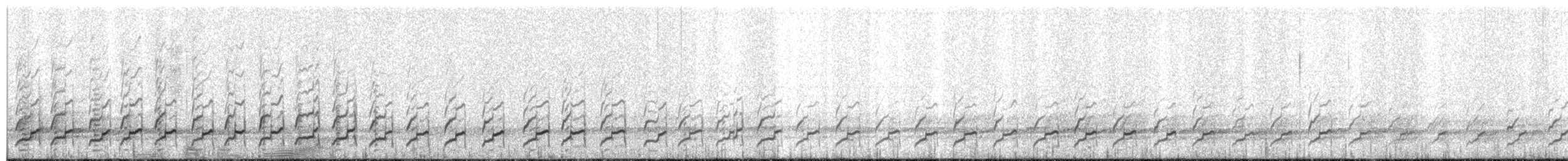 Rufous-bellied Seedsnipe - ML357105971