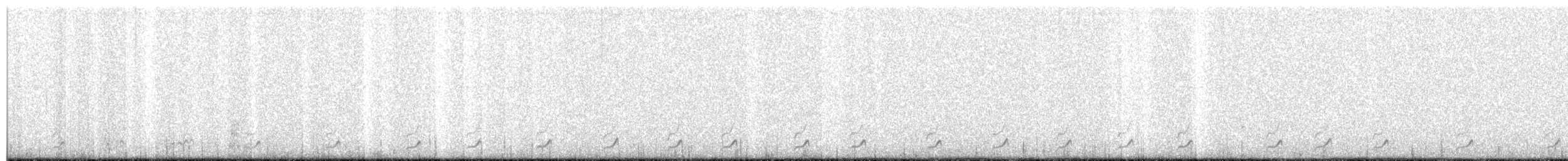 Rufous-bellied Seedsnipe - ML357106091