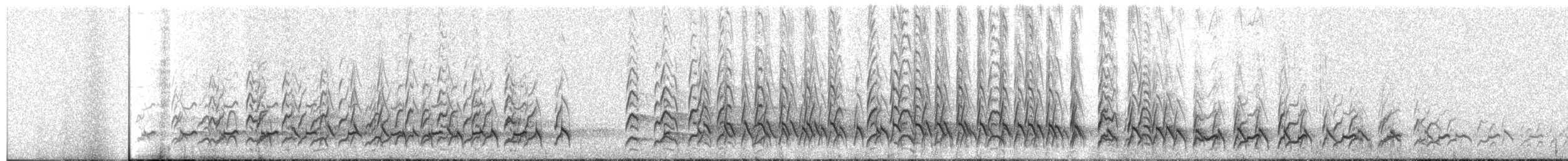 Rufous-bellied Seedsnipe - ML357106131