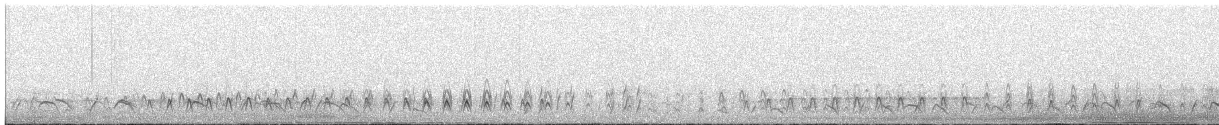 Jameson's Snipe - ML357107571