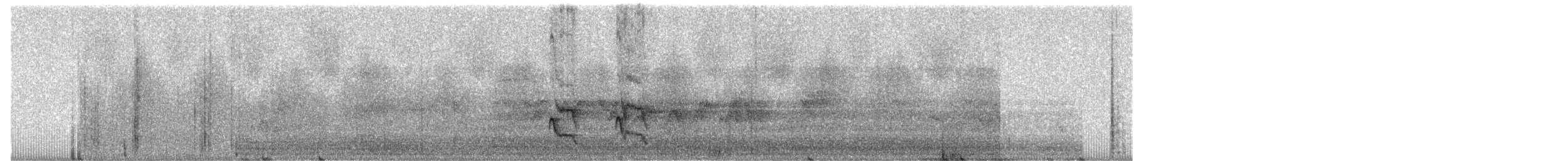 ズキンヒメアリサザイ - ML357110381