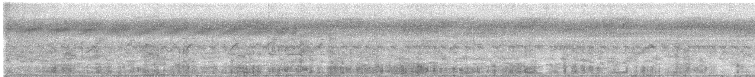 Pied Heron - ML357154291