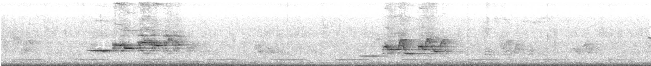 Дрізд-короткодзьоб плямистоволий - ML357243081