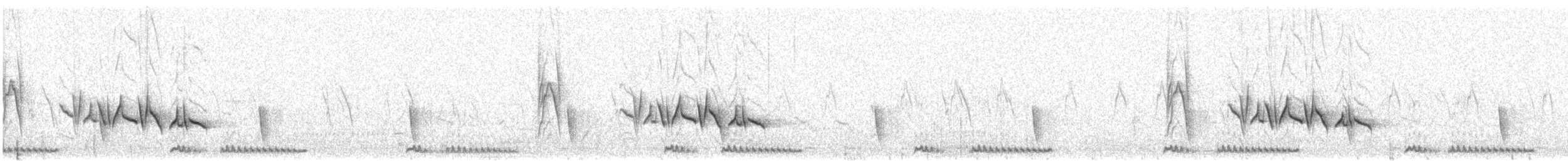 Cisticole cendrée - ML357260721