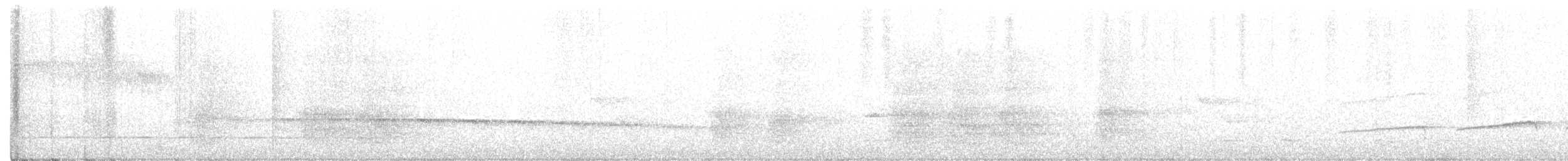 Мурав’янка-куцохвіст велика - ML357285281