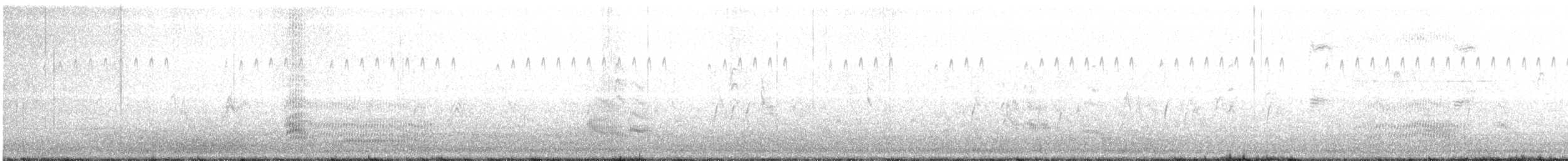紐澳紅嘴鷗(scopulinus) - ML357298371