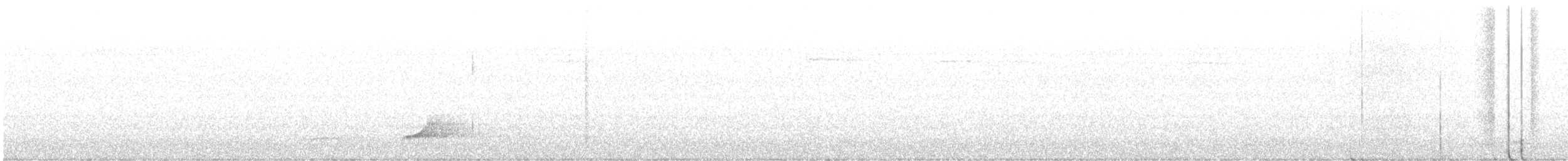 nordkrattvaktel (virginianus gr.) - ML357299741
